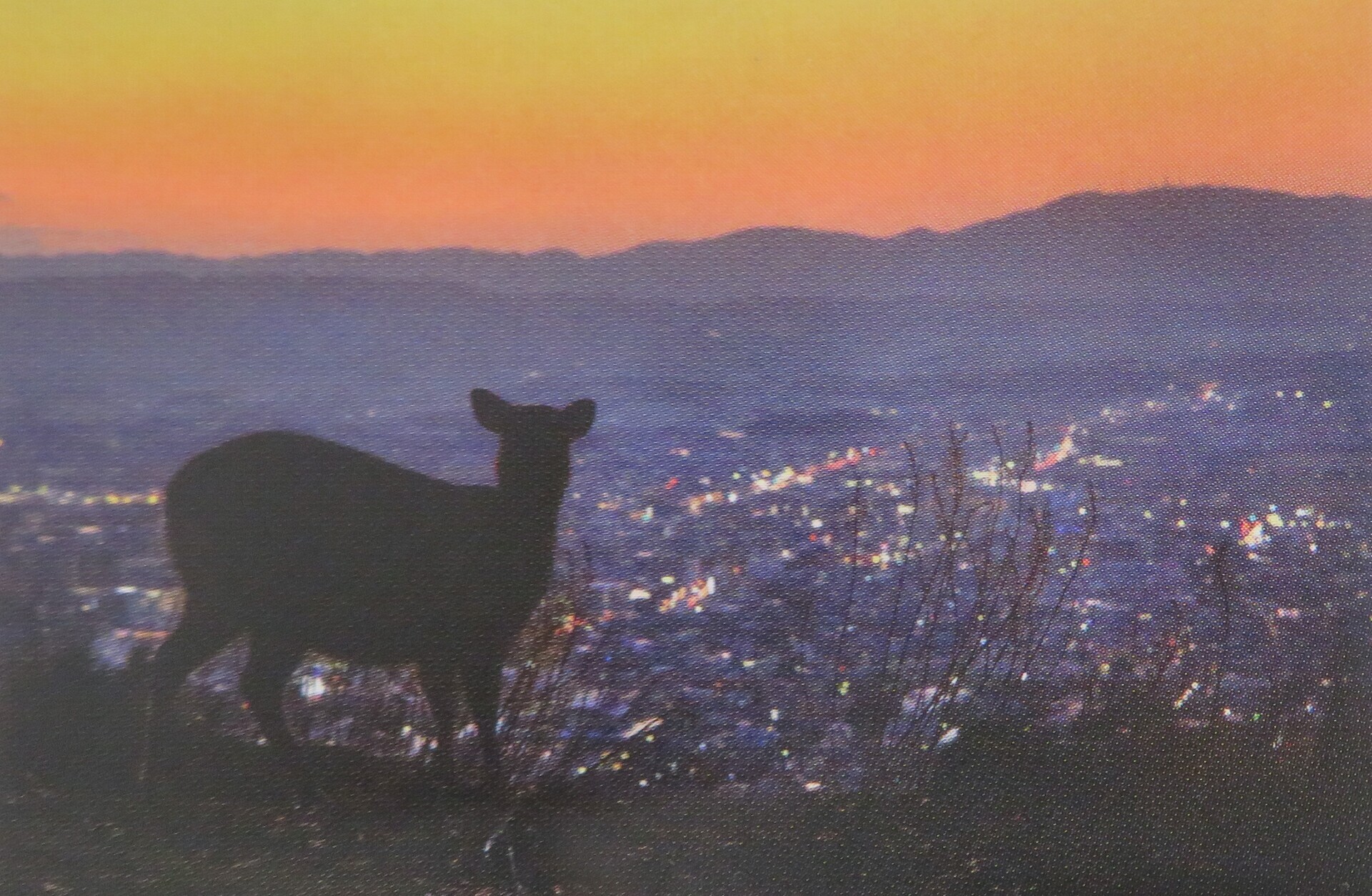小林修写真展 もしもの老子
